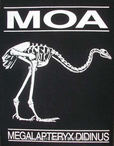  Moa Skeleton - Print- Front